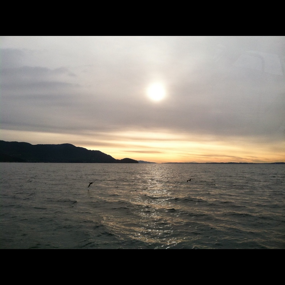 Meet your Posher, Savannah